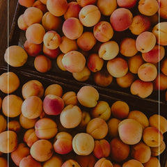 Apricots after harvest laying on table