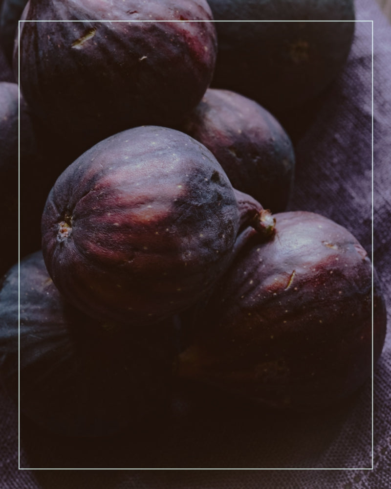 black mission figs in a pile