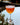 Coyote Creek cocktail in cocktail glass