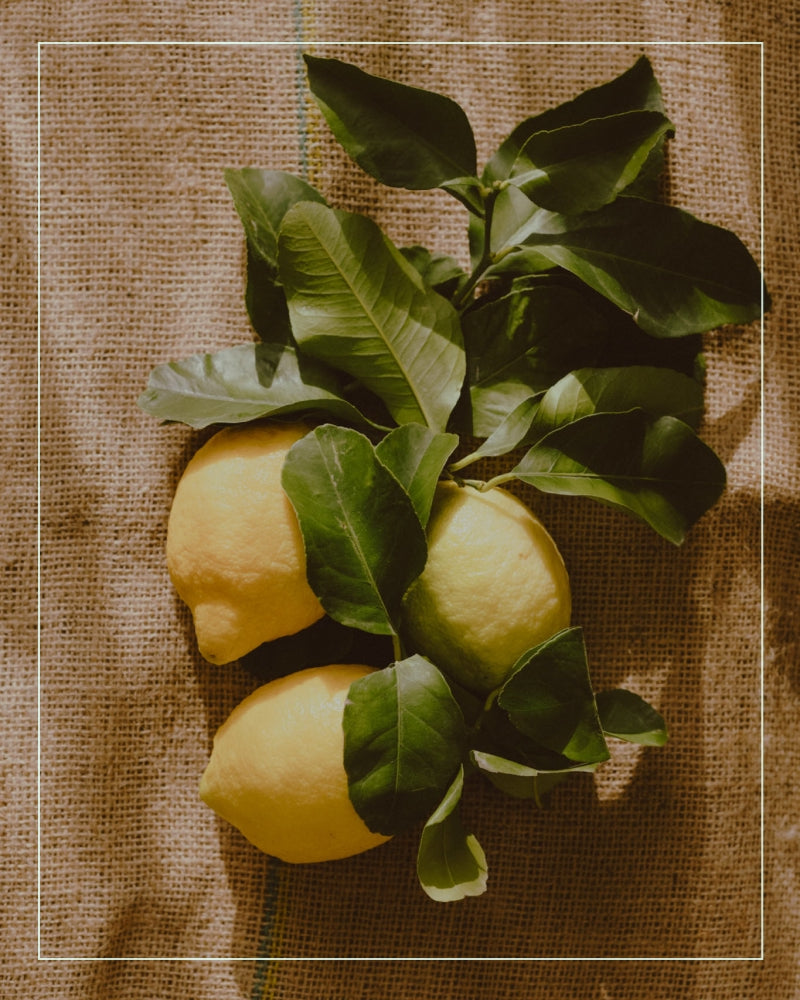 meyer lemon sitting on canvas background