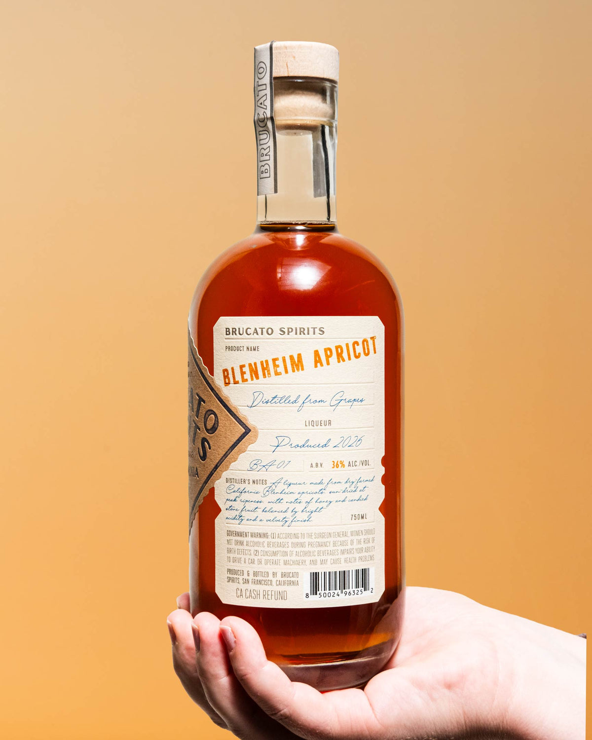 Blenheim Apricot